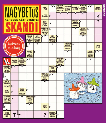 Nagybetűs Skandi 22026