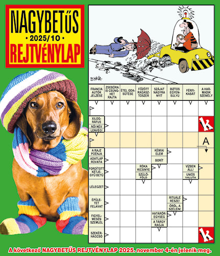 Nagybetűs Rejtvénylap 25010
