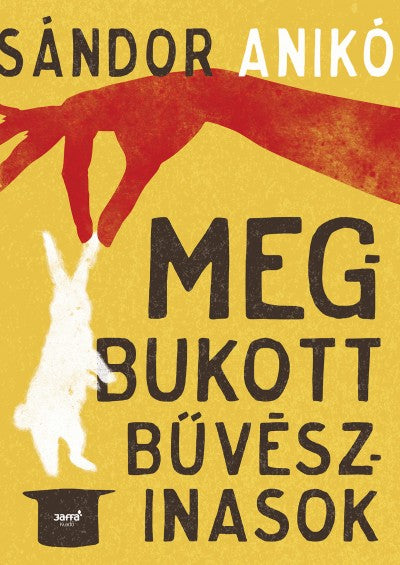 Sándor Anikó: Megbukott bűvészinasok