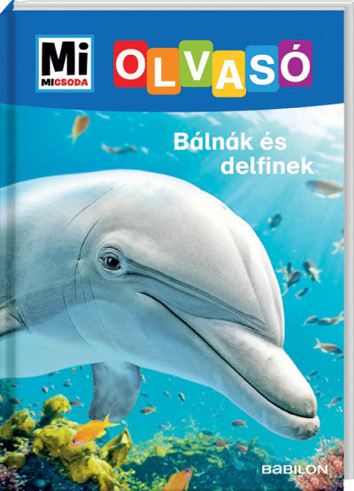 Christina Braun: Bálnák és delfinek - Mi Micsoda Olvasó