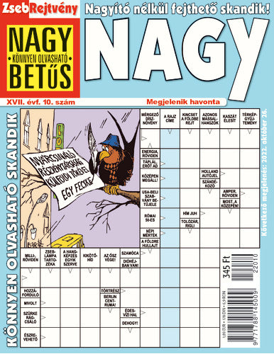 ZsebRejtvény NAGY 22010