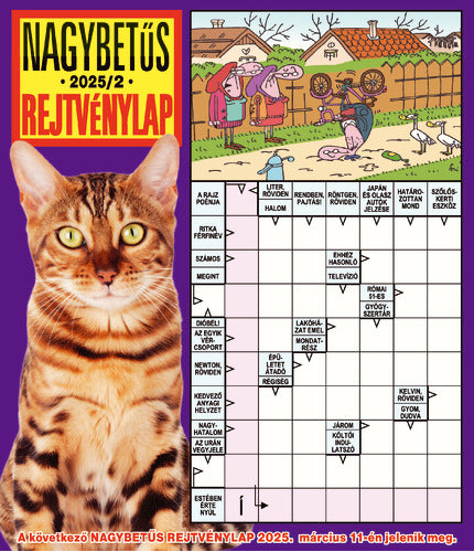 Nagybetűs Rejtvénylap 25002