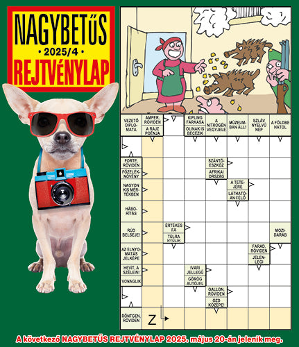 Nagybetűs Rejtvénylap 25004