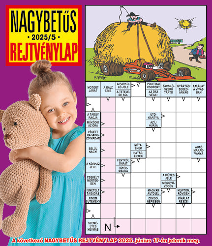 Nagybetűs Rejtvénylap 25005