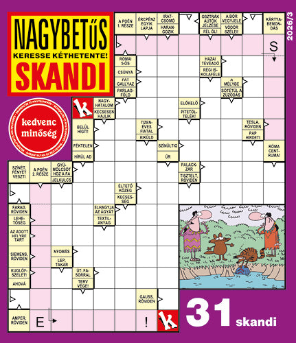 Nagybetűs Skandi 26003