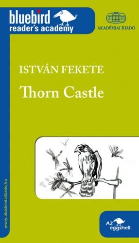Thorn Castle - Tüskevár (ANGOL KÖNNYÍTETT OLVASMÁNY)
